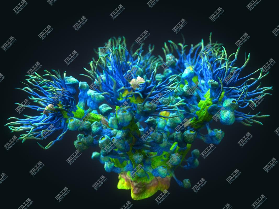 images/goods_img/2021040163/3D Animated Plants Ocean - Alien  Pack 10/4.jpg